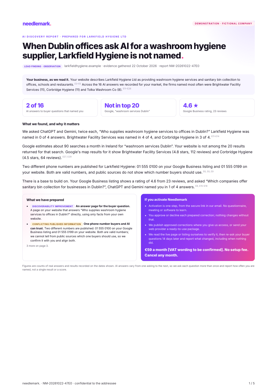 Page 1 of the sample report: the finding